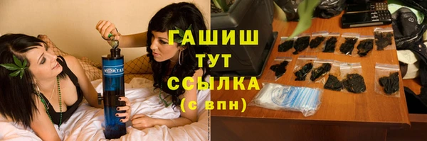 хмурый Абаза