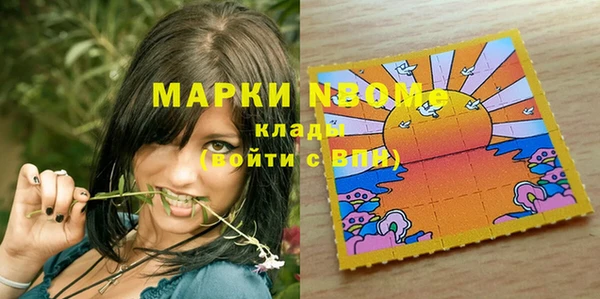 хмурый Абаза