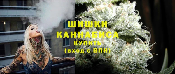 хмурый Абаза