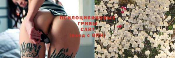 хмурый Абаза